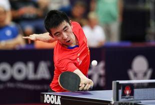 马特乒乓爆料视频大全,揭秘乒乓球界的精彩瞬间与幕后故事